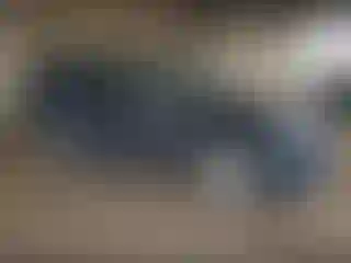 Vehicle Image- 2024 Toyota Highlander