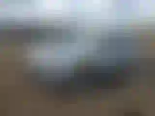 Vehicle Image- 2024 Toyota Highlander