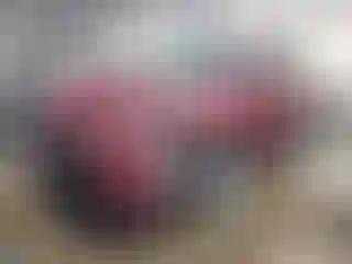 Vehicle Image- 2024 Toyota Highlander