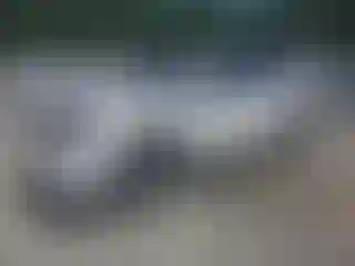 Vehicle Image- 2024 Toyota Highlander