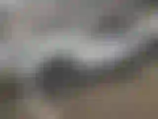 Vehicle Image- 2024 Toyota Highlander