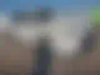 Vehicle Image- 2024 Toyota Highlander