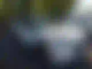 Vehicle Image- 2023 Toyota Highlander