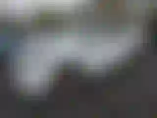 Vehicle Image- 2022 Toyota Highlander