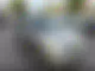 Vehicle Image- 2005 Toyota Sienna