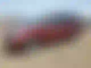 Vehicle Image- 2004 Toyota Sienna