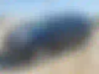 Vehicle Image- 2004 Toyota Sienna
