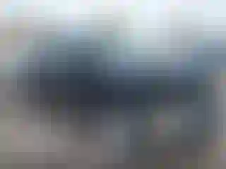 Vehicle Image- 2012 Toyota Highlander