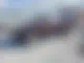 Vehicle Image- 2013 Toyota Highlander