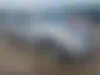 Vehicle Image- 2012 Toyota Highlander