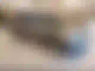 Vehicle Image- 2015 Toyota Highlander