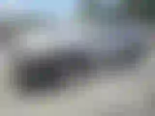 Vehicle Image- 2016 Toyota Highlander