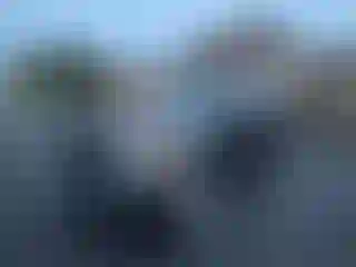 Vehicle Image- 2004 Toyota Sequoia