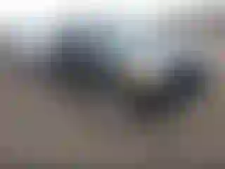 Vehicle Image- 2007 Toyota Sequoia