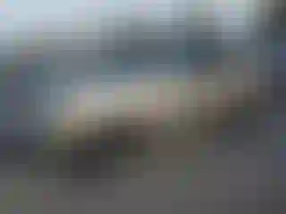 Vehicle Image- 2007 Toyota Sequoia