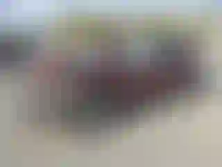 Vehicle Image- 2019 Toyota Highlander