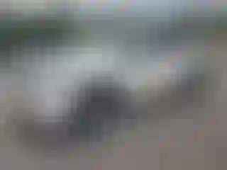 Vehicle Image- 2020 Toyota Highlander