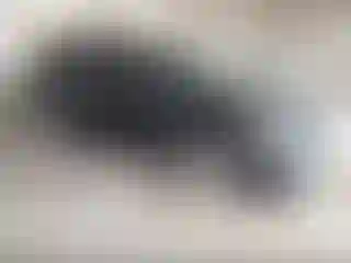 Vehicle Image- 2022 Toyota Highlander