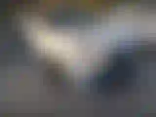 Vehicle Image- 2022 Toyota Highlander