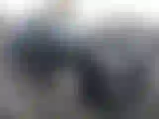 Vehicle Image- 2020 Toyota Highlander