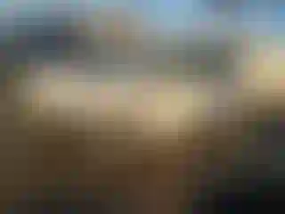 Vehicle Image- 2015 Toyota Sienna