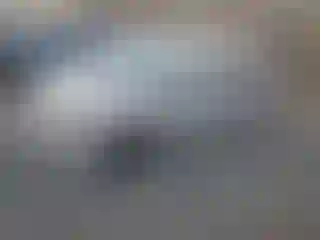 Vehicle Image- 2015 Toyota Sienna