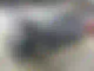 Vehicle Image- 2013 Toyota Highlander