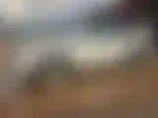 Vehicle Image- 2015 Toyota Highlander