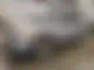 Vehicle Image- 2015 Toyota Highlander