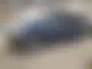 Vehicle Image- 2020 Toyota Sienna