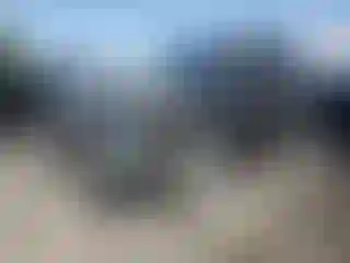 Vehicle Image- 2020 Toyota Highlander