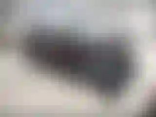 Vehicle Image- 2019 Toyota Highlander