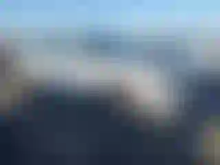 Vehicle Image- 2020 Toyota Highlander