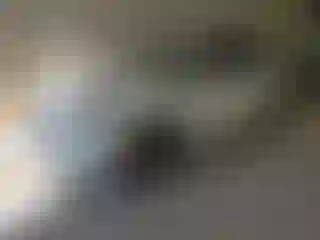 Vehicle Image- 2021 Toyota Highlander