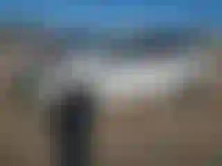 Vehicle Image- 2023 Toyota Sienna