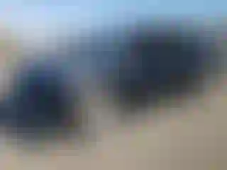 Vehicle Image- 2024 Toyota Sienna