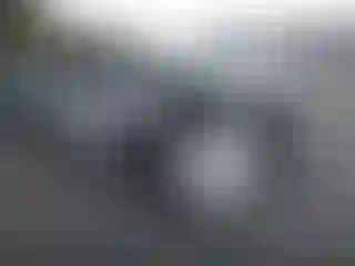 Vehicle Image- 2021 Toyota Highlander