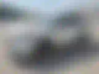 Vehicle Image- 2021 Toyota Highlander