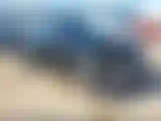 Vehicle Image- 2022 Toyota Highlander
