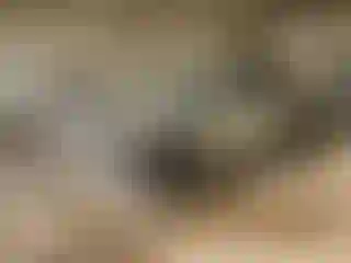 Vehicle Image- 2021 Toyota Highlander