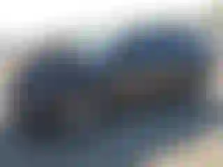 Vehicle Image- 2021 Toyota Highlander