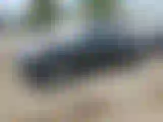 Vehicle Image- 2021 Toyota Highlander