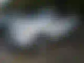 Vehicle Image- 2014 Toyota Highlander