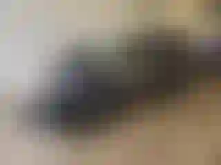 Vehicle Image- 2016 Toyota Highlander