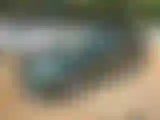 Vehicle Image- 2023 Toyota Sienna