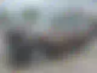 Vehicle Image- 2019 Toyota Highlander