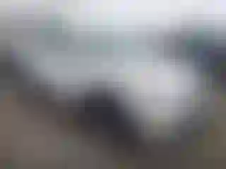 Vehicle Image- 2019 Toyota Highlander