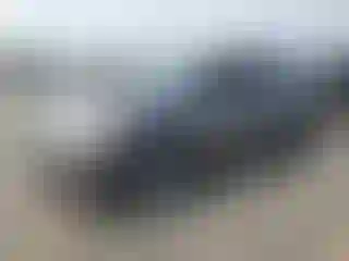 Vehicle Image- 2019 Toyota Highlander