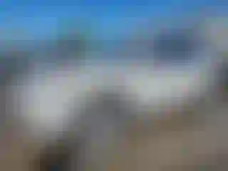 Vehicle Image- 2019 Toyota Highlander