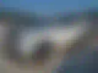 Vehicle Image- 2018 Toyota Highlander